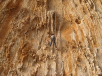 SNV80278.JPG